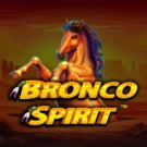 Bronco Spirit