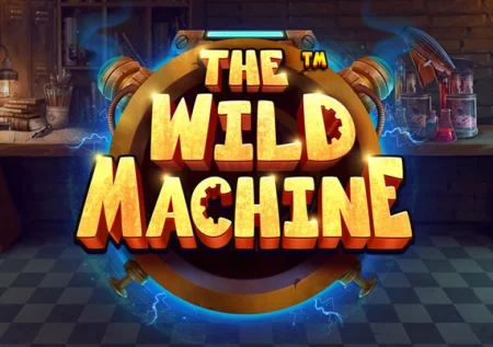 The Wild Machine